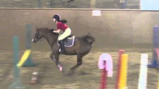 YTHJA Jumper/Equitation Entry