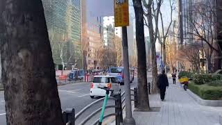 Morning in Teheran-ro, 역삼역, Seoul, Korea [city life, working life]•••vlog•••