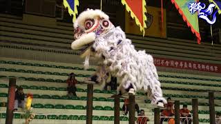 台湾南仙龙狮体育会 Nam Sieng Dragon \u0026 Lion Dance Activity Centre