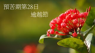 靈修:預苦期第28日-逾越節 20230325