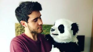 CUDDLING A PANDA!