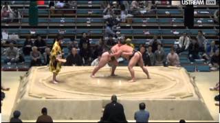 Haru2016 Day 09, Kotofukujuno vs Koshinishiki