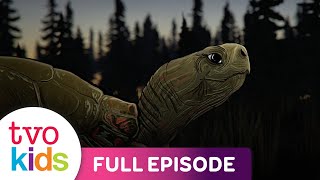 THE SEVEN SACRED LAWS - Turtle (Truth) - Full Episode