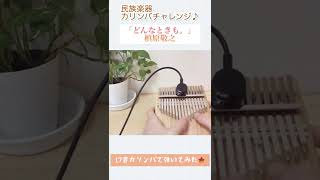 どんなときも。/槙原敬之　弾いてみた　カリンバ#shorts