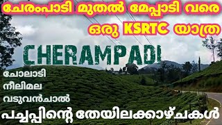 ചേരംപാടിയിലെ വഴിയോര കാഴ്ചകൾ കണ്ട് വയനാട്ടിലേക്ക് | cherampadi tea estate | meppadi | vaduvanchal