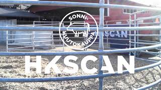 HKScan Agri Live-stream