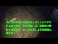 令和2年5月23日 うなぎ釣りシーズン開幕（天然うなぎ）ドバミミズ使用