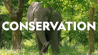 Definitions in the Field: Conservation