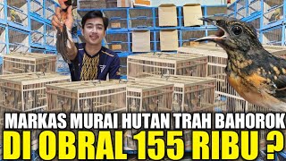 GILA ! HANCUR SUDAH HARGA MURAI TROTOL SUPER CUMA 155 RIBU BEBAS PILIH HARI INI DIKIOS PASAR PRAMUKA