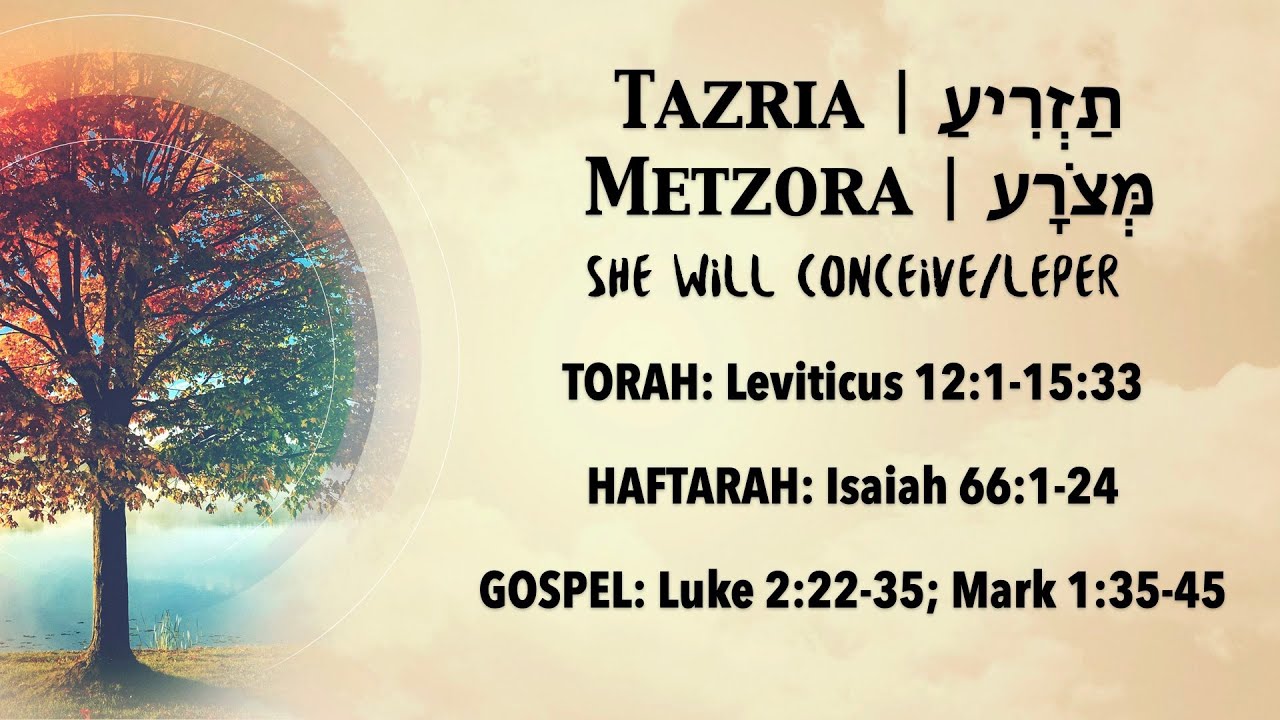 Parashah Tazria-Metzora 5783 - YouTube