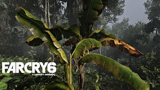 [4K] Far Cry 6 - Relaxing Walking Around (Ambience ASMR)