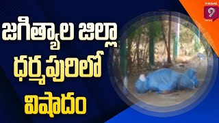 జగిత్యాల జిల్లా ధర్మపురి లో విషాదం | Covid -19 | Prime9 News