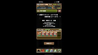 【パズドラ】試練ダンジョン・エジプト神試練の間【ノーコン】焦炎の超越神・セト