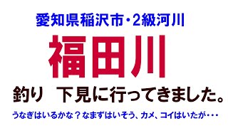 愛知県、稲沢氏の福田川、釣り下見、釣れそうな気がするんですが。