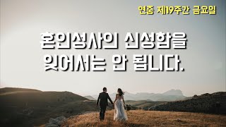 2022년 8월 12일, 연중 제19주간 금요일 [매일미사 강론] (이병근 대건안드레아) 부개동 성당