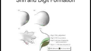 Lecture 9 AP DV Patterning