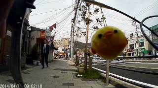 20140411 堺~笠岡 17 大田町→塩屋駅手前