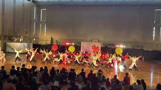 よさこいダンスチーム東海大学響『結晴』／東京理科大学 理大祭よさこい2024（2024/11/23）@東京理科大学 野田キャンパス 森戸記念体育館