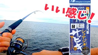 めっちゃ釣れるジグサビキ装着したらいい感じでした