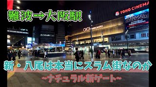 新・八尾は本当にスラム街なのか【難波→大阪駅】