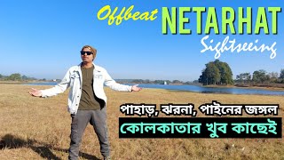 কোলকাতার কাছেই পাইনের জঙ্গল 😍 Netarhat Tourist Spot | Netarhat Tour | Netarhat Travel Guide