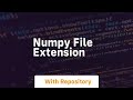 numpy file extension