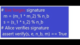 Raw RSA Signature Forgery