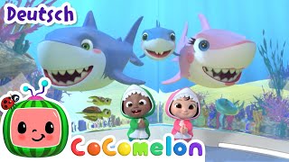 Babyhai | CoComelon Deutsch | Cartoons und Kinderlieder