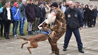 Nyílt nap a Körmendi Rendészeti Szakközépiskolában - hasznos információkkal a felvételihez