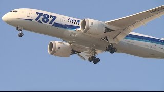 【飛行】 【着陸体勢】 東京ゲートブリッジ上空 JAL ANA : Boeing