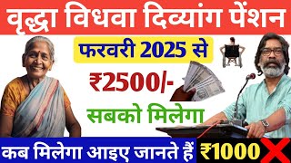 how to apply for pension 2025 | सभी पेंशन भोगी जरूर देखें | Old Age, Widow and Disabled Pension 2025