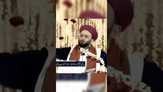 pir saqib shaami||about Dr Zakir naik||banglore bayan||#viral #viralshorts #youtubeshorts