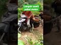 langsir sawit pakai sepeda motor #langsirsawit #angkutsawit