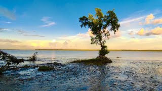 পাথরঘাটা বিষখালি নদীর মোহনার সৌন্দর্য ।,,,