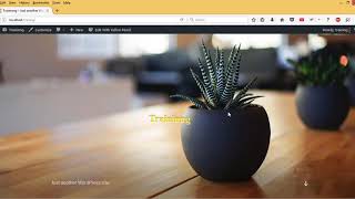 Yellow Pencil the CSS Customizing Wordpress Plugin (No Coding)
