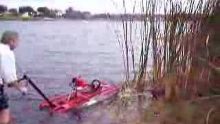 WeedersDigest.com CATTAIL cutter remove removal lake pond