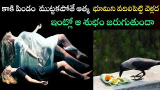 కాకి పిండం ముట్టకపోతే ఆత్మ భూమి వదిలిపెట్టి వెళ్లద l what happends if  crow shouts in front of home