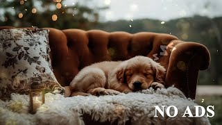 Relaxing Rest Music for Dogs🐶Healing Melodies that Relieve Stress for 12 Hours