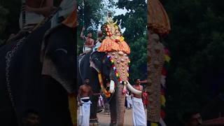 Vaikkathashtami #vaikom #trending #mahadevatemple #temple #kerala #aanapremi #aanakeralam #aana