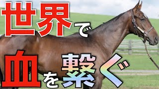 【発展しそう】世界で熱いのはディープ系だけじゃない！あの馬が欧米でG1馬輩出。