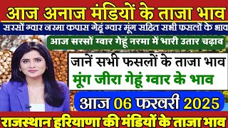 अनाज मंडी भाव| 06/02/2025 आज सरसों ग्वार गेहूं नरमा भाव में उतार चढ़ाव| जानें सभी फसलों के ताजा भाव,