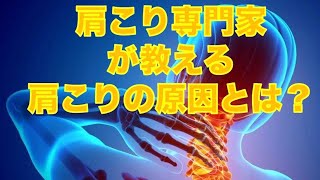 肩こり専門家が教える肩こりの原因とは？【埼玉県　和光市　肩こり　整体　整体院祐】