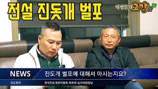 #11 멍멍이삼촌 진돗개 벌포에 대해 최희천 심사위원장님께 여쭤봤습니다