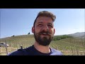 tour the massolino vineyards in albesani april 2020