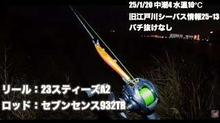 【23スティーズA2とセンブンセンス932TR使用】旧江戸川シーバス＆チニング/1月20日【中潮4  水温10℃/釣り場状況13】