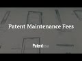 Patent Maintenance Fees