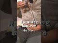 暴れ回ってた猫をお腹の中に入れてみたら...【サイベリアンのラフィ】 shorts