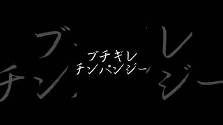 ブチギレチンパンジー #shorts