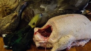 How To Prepare And Cook A Duck.( part 1.),Bird Preparation.