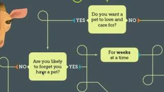 Flowchart Quiz How To!